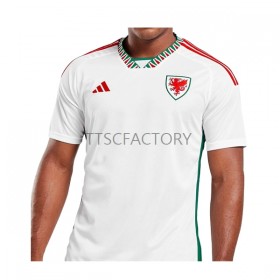 Camiseta Gales Segunda Equipación Copa Mundo 2022